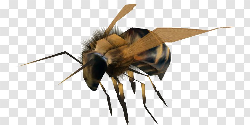 Honey Bee Hornet Bumblebee Yavapai College - Bethesda Softworks Transparent PNG