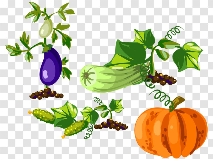 Pumpkin Gourd Eggplant Vegetable Clip Art - Leaf Transparent PNG