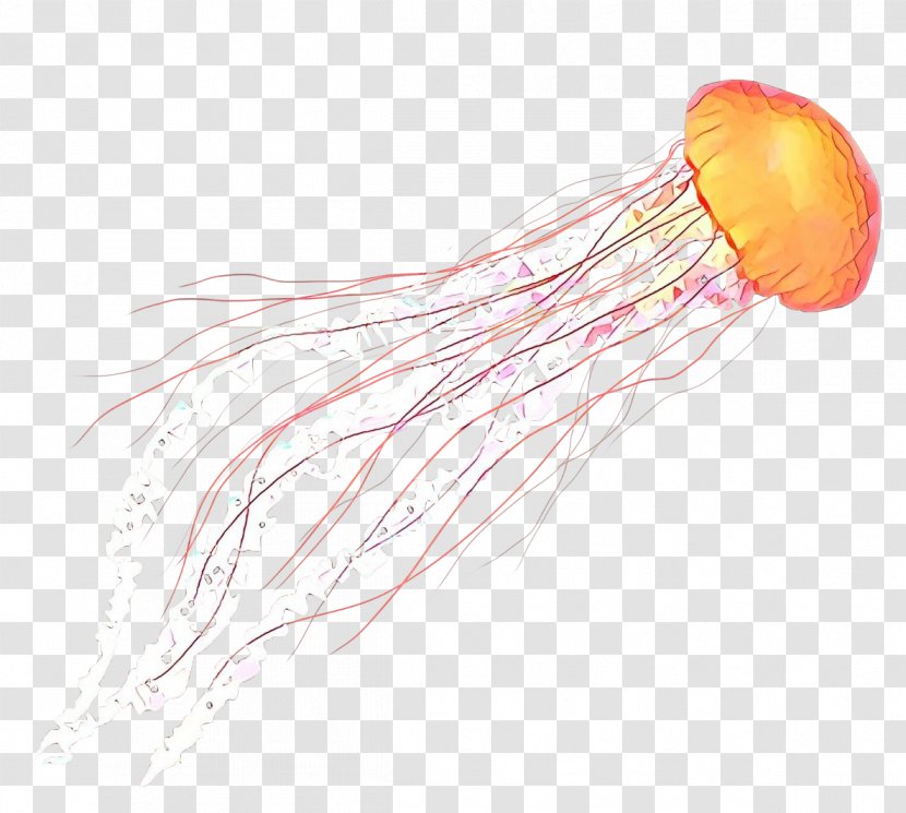 Invertebrate Marine Invertebrates Transparent PNG