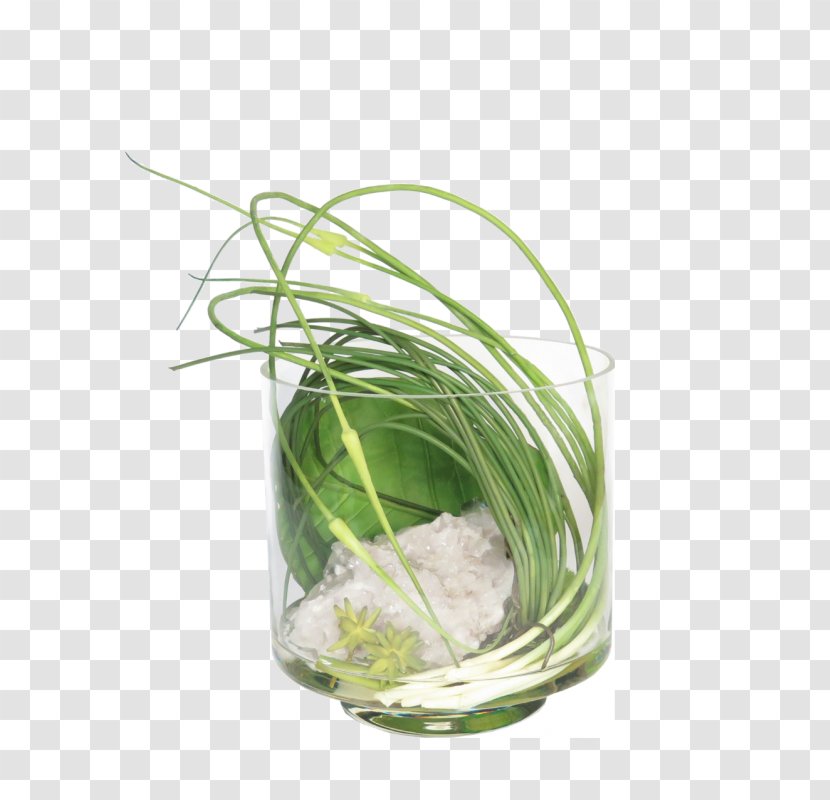 Herb Grasses Flowerpot Family - Plant - Protea Watercolor Transparent PNG