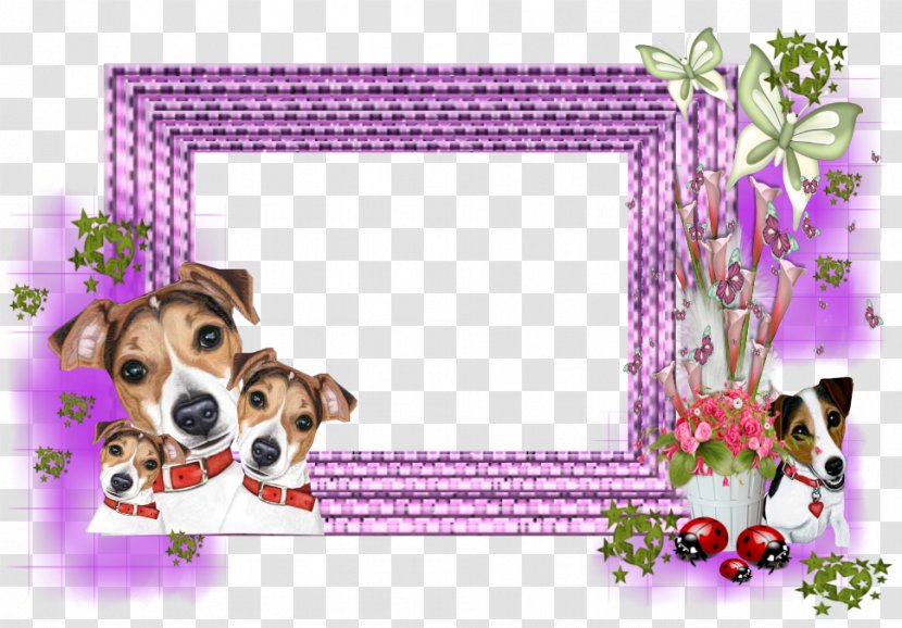 Dog Breed Picture Frames Puppy Beagle - Paw Transparent PNG