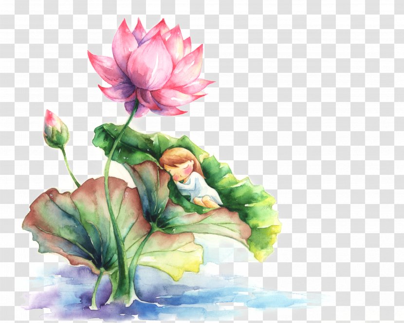 Watercolor Painting Nelumbo Nucifera - Ink Wash - Cartoon Lotus Transparent PNG