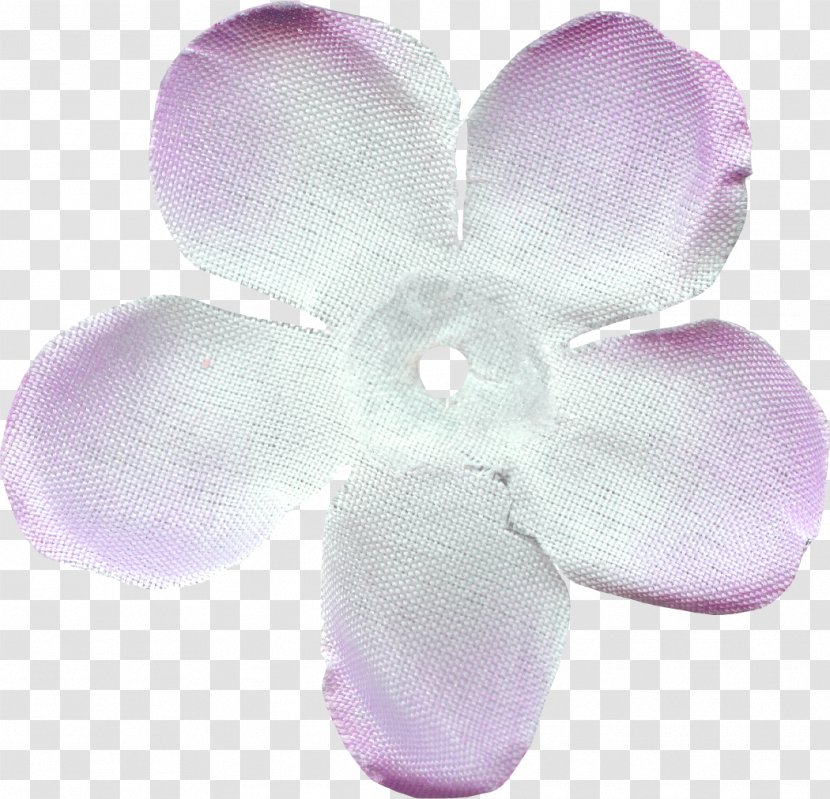 Moth Orchids - Kiss Me Transparent PNG