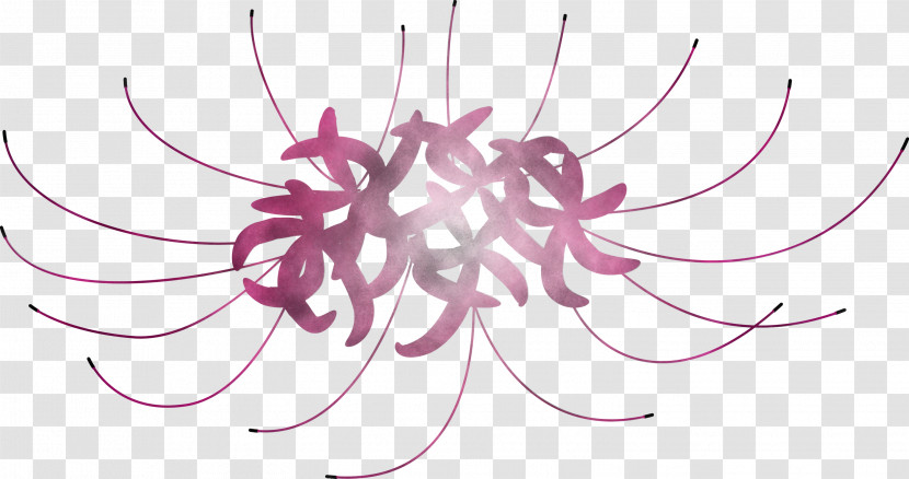 Hurricane Lily Flower Transparent PNG