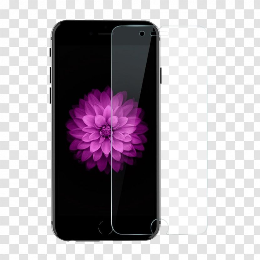 IPhone 6s Plus 8 7 6 Screen Protectors - Mobile Phone Accessories - Apple Transparent PNG