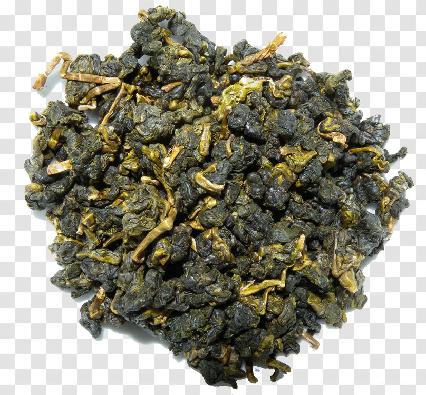 Gunpowder Tea Oolong Nilgiri Green - Bancha Transparent PNG