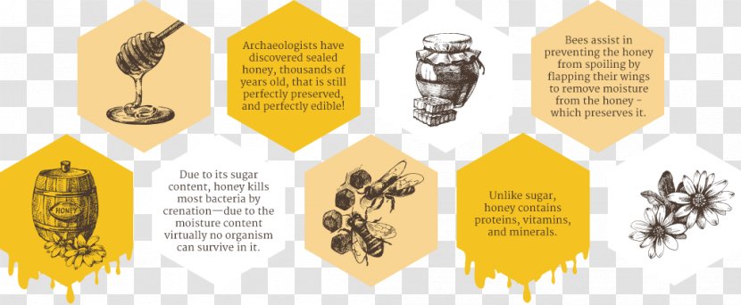 Honey Bee Mānuka Organic Food - Brand - Spoon Transparent PNG