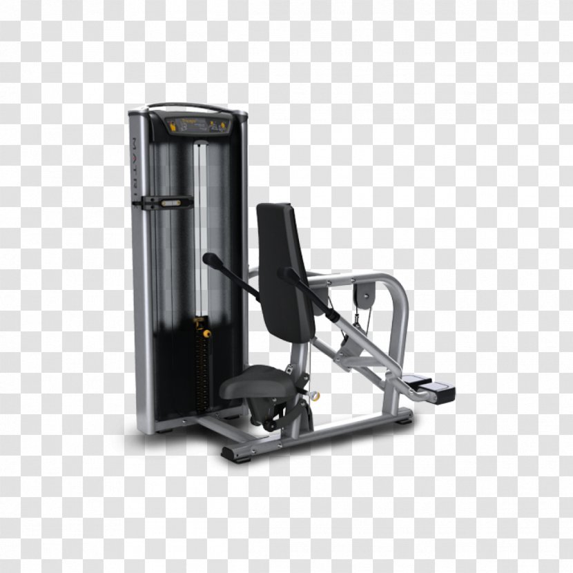 Triceps Brachii Muscle Fitness Centre Exercise Machine Strength Training - Equipment Transparent PNG