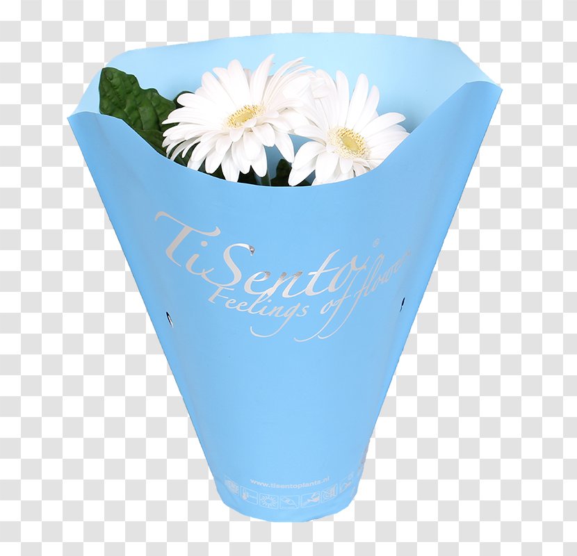 Cut Flowers Petal Transvaal Daisy Plants - Homemade Flower Pot Stand Transparent PNG