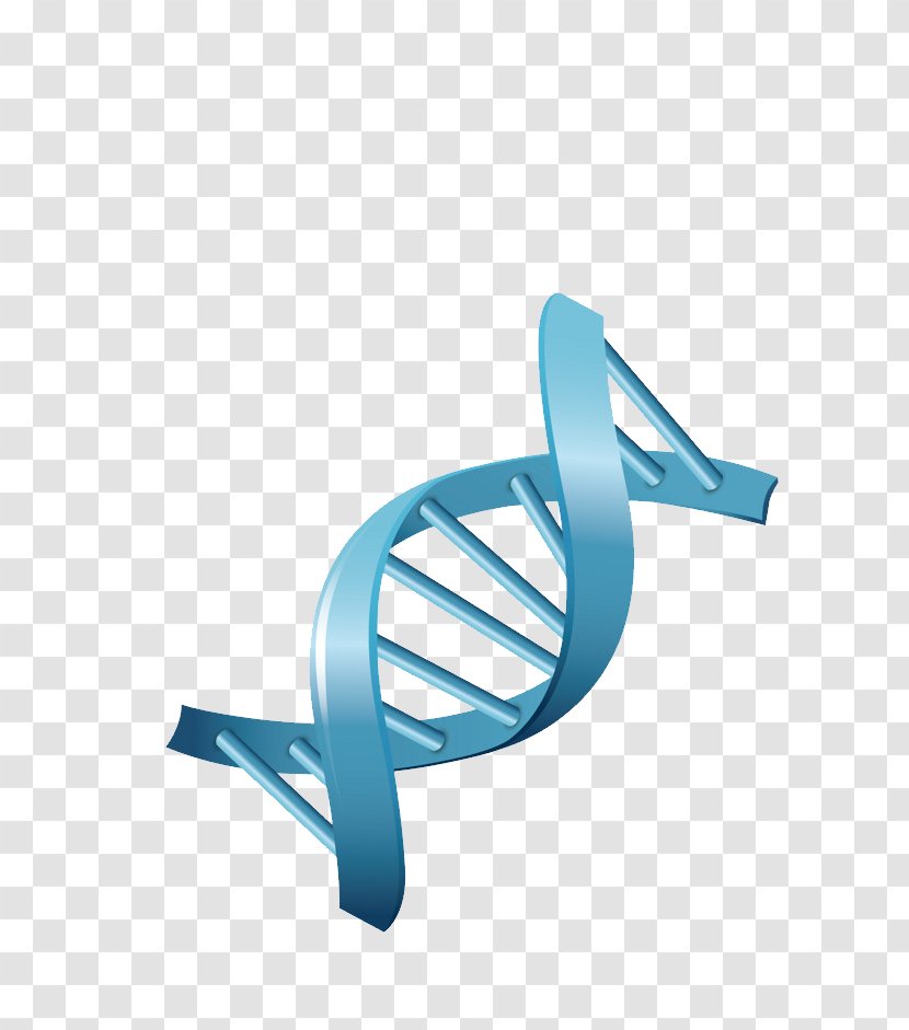 DNA Genetics Biology Vector Transparent PNG