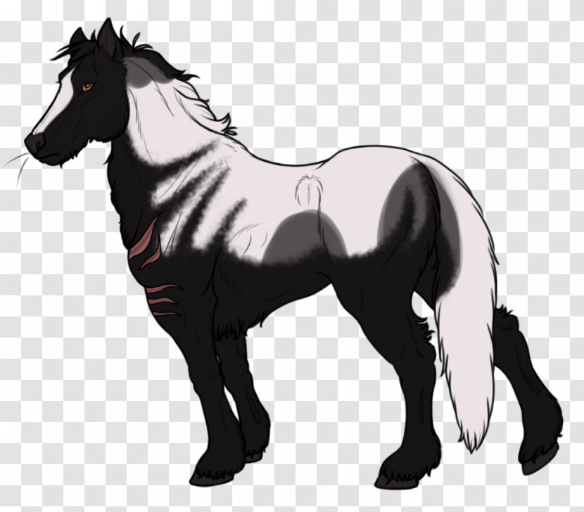 Foal Mane Mustang Mare Stallion - Black And White - Breeding Season Male Transparent PNG