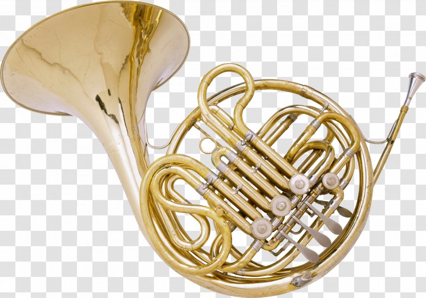 Instrumental Musical Ensemble Capistrano Valley High School Instrument - Flower - Trumpet Transparent PNG