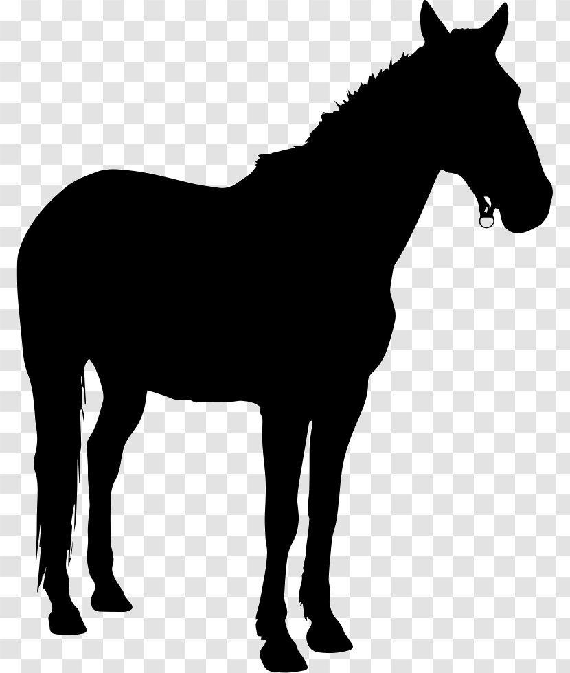 Pony Horse Silhouette Clip Art Transparent PNG