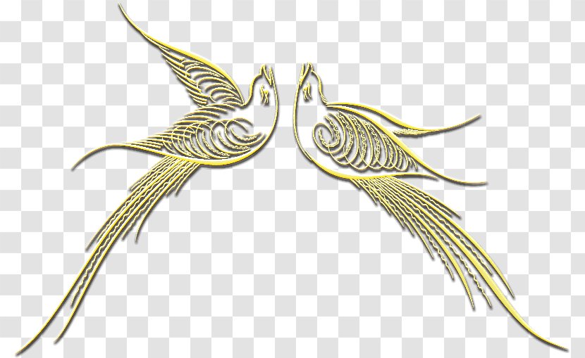 Line Art Beak Feather Legendary Creature - Wing Transparent PNG