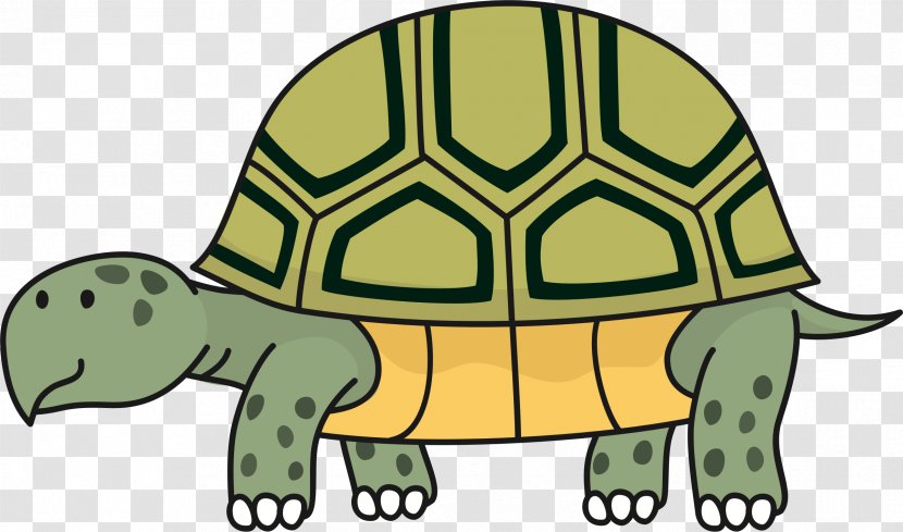 Tortoise Reptile Turtle Clip Art Transparent PNG