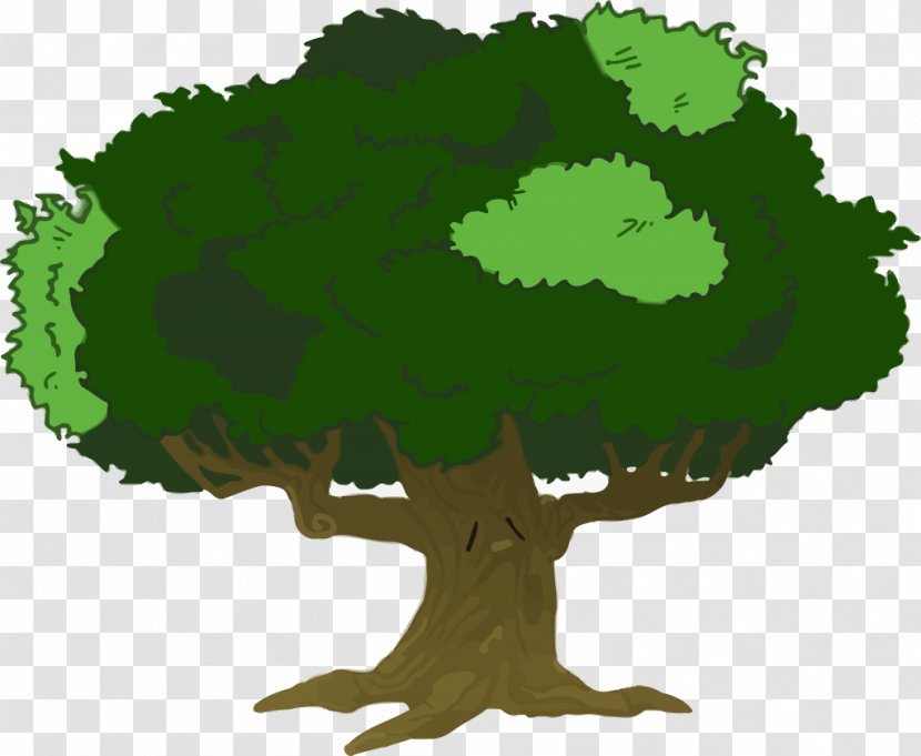 Clip Art Large Tree Branch Openclipart - Green Transparent PNG