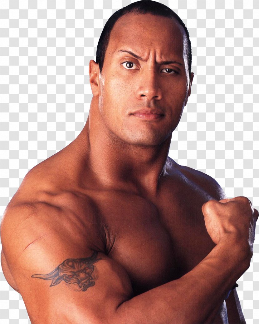 WWF SmackDown! Just Bring It Dwayne Johnson Tattoo Pain & Gain - Cartoon - The Rock Transparent Image Transparent PNG