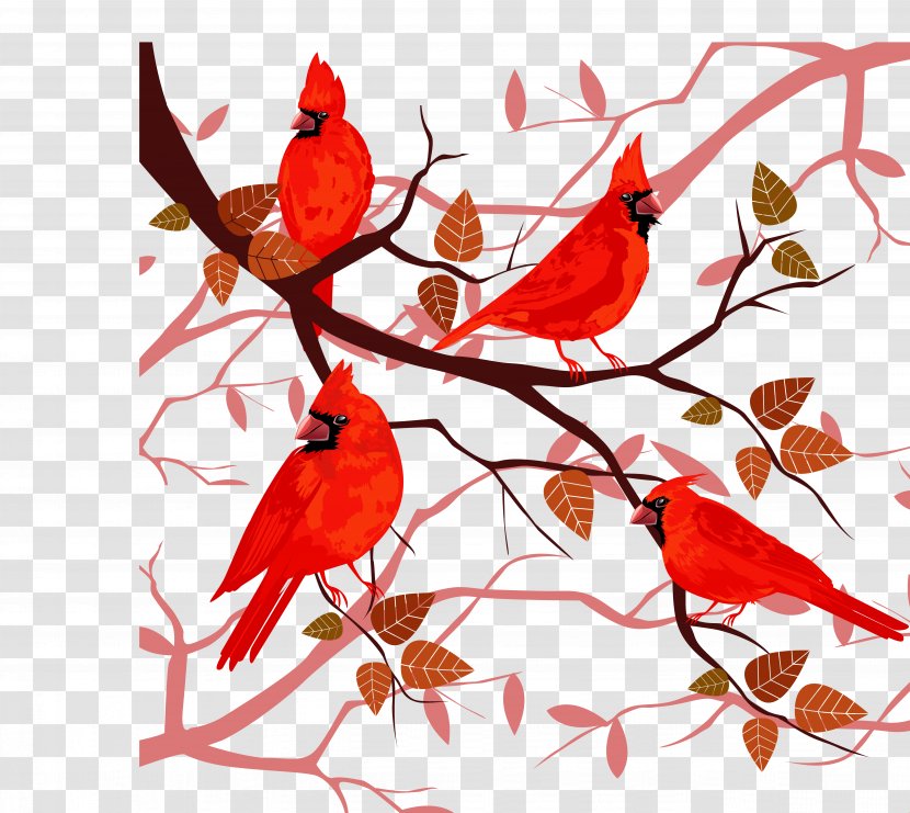 Branch Christmas Tree - Twig - Birds In The Transparent PNG