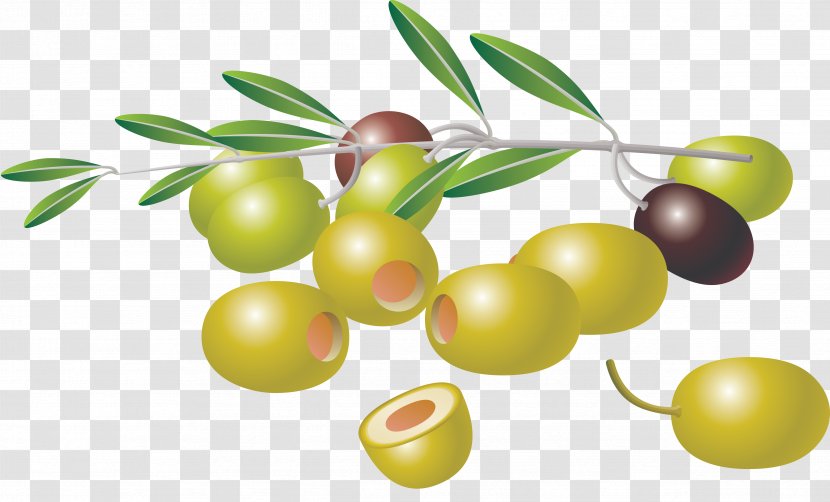 Olive Branch Clip Art - Superfood - Olives Transparent PNG