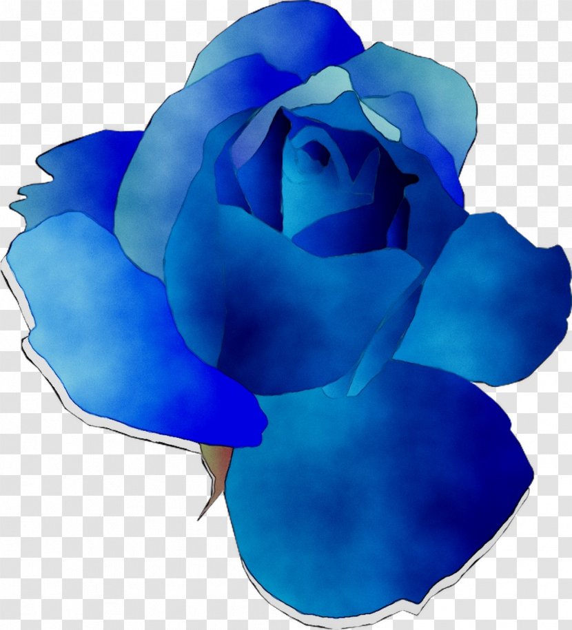 Blue Rose Garden Roses Cut Flowers - Cobalt Transparent PNG