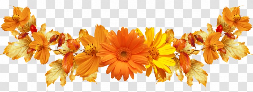 Common Sunflower Floral Design Cut Flowers Desktop Wallpaper - Petal Transparent PNG