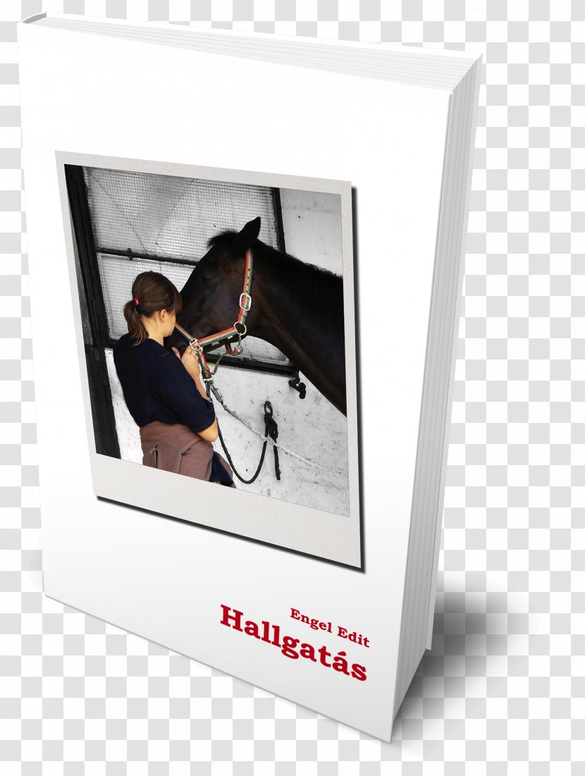 A Bécsi Tolmács Tanulópénz Book Publishing Author - Picture Frames Transparent PNG