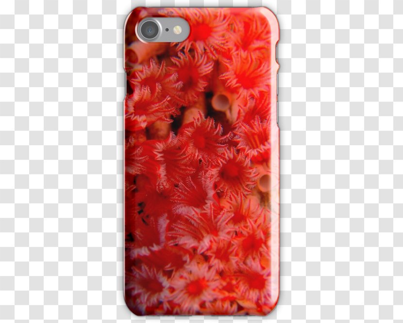 Organism Mobile Phone Accessories RedTube Phones IPhone - Case - Giant Tube Worm Transparent PNG