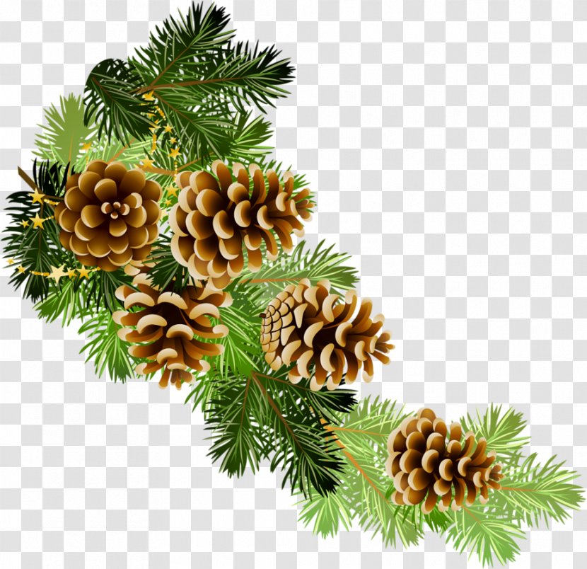 Clip Art Christmas Graphics Conifer Cone Pine Openclipart - Tree Transparent PNG