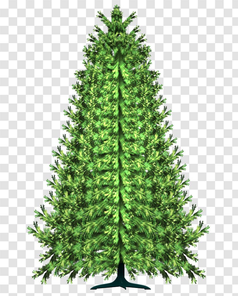 Pine Tree Conifers Spruce Clip Art - Christmas Ornament Transparent PNG