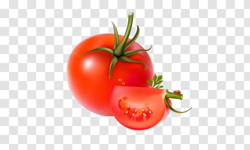 Vegetable Fruit Bell Pepper Chili - Plum Tomato - Ripe Tomatoes Transparent PNG