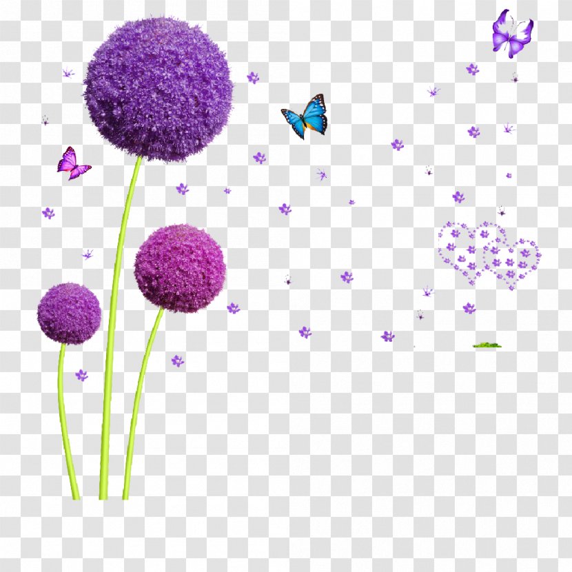 Common Dandelion Purple Euclidean Vector - Violet - Creative Su Transparent PNG