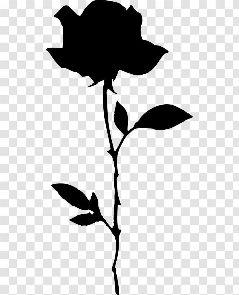 Silhouette Drawing Rose Transparent PNG