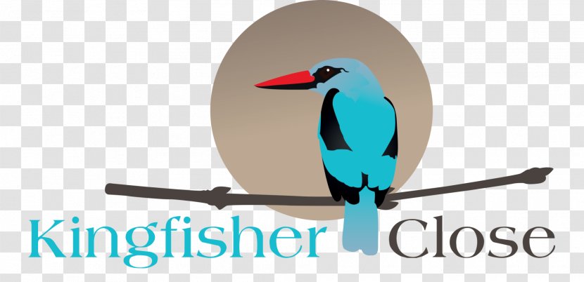Douglasdale, Gauteng Kingfisher Drive Logo Brand - Teal Transparent PNG