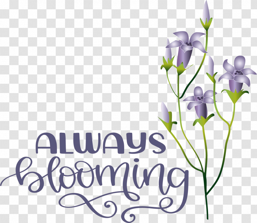 Floral Design Transparent PNG