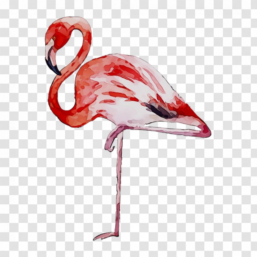 Temporary Tattoos & Stickers Flamingo Paper Image - Tablet Computers - Greater Transparent PNG