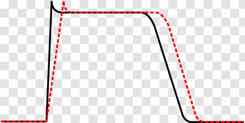 Cardiac Action Potential Antiarrhythmic Agent Beta Blocker Sodium Channel Transparent PNG