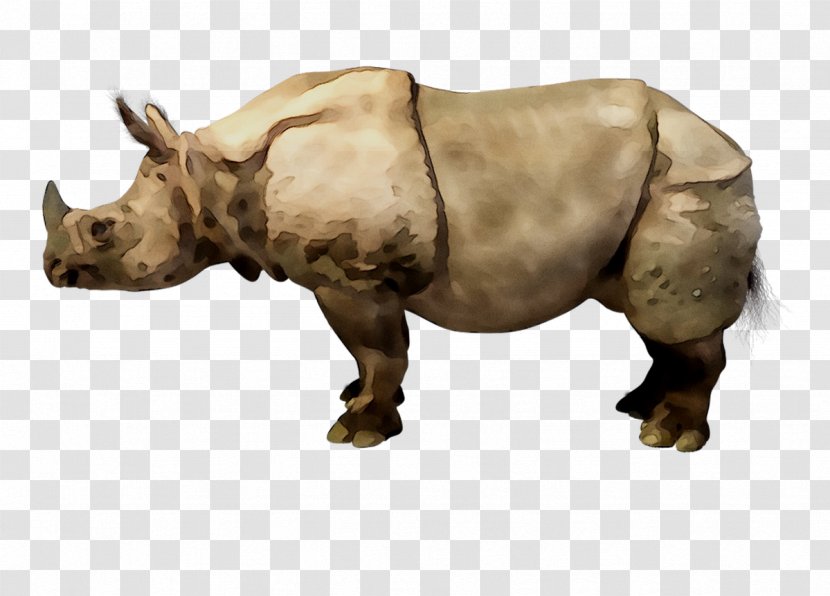 Rhinoceros Cattle Mammal Fauna Terrestrial Animal - Snout Transparent PNG