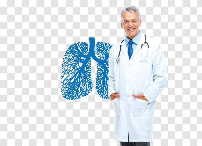 Lung Human Anatomy Bronchus Homo Sapiens - Heart - Sleeplearning Transparent PNG