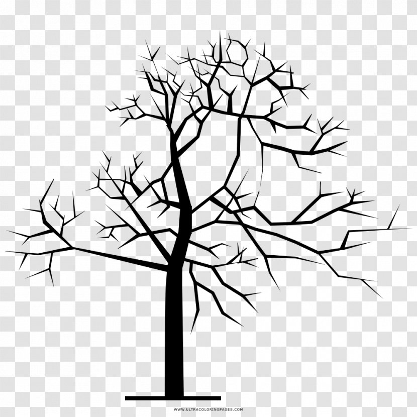 Twig Coloring Book Drawing Tree Clip Art - Character Transparent PNG
