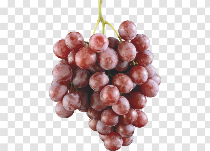 Wine Grape Fruit Food Seed - Seedless Transparent PNG