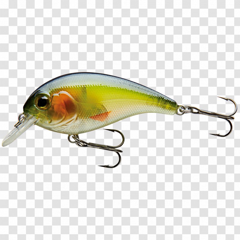 Perch Spoon Lure Insect Fish AC Power Plugs And Sockets - Membrane Winged Transparent PNG