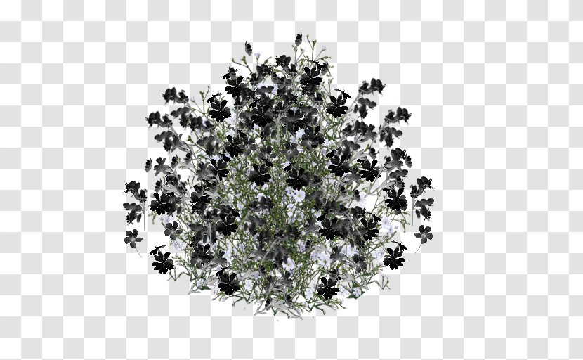 Flower Floral Design Image File Formats Clip Art - Tree - Black Transparent PNG
