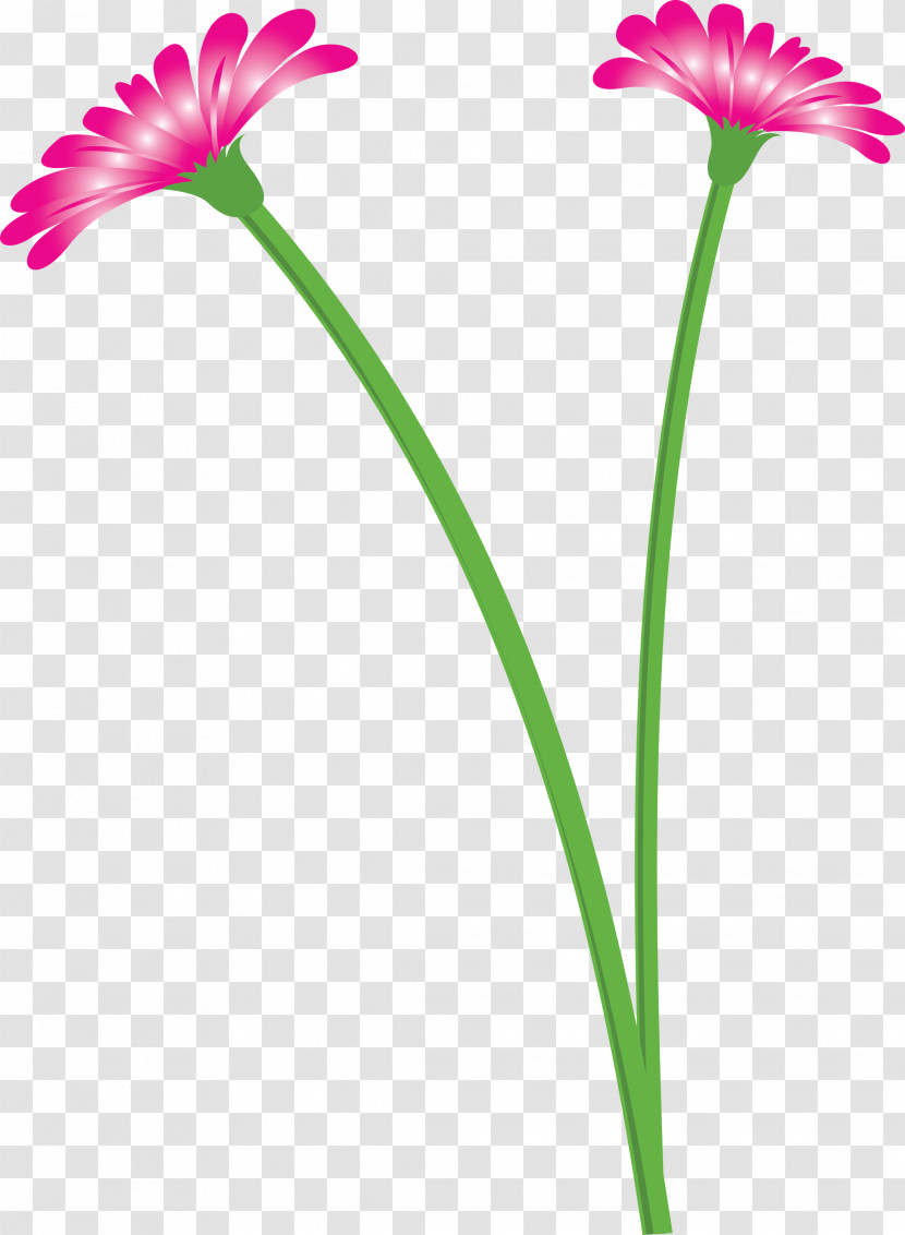 Dandelion Flower Transparent PNG