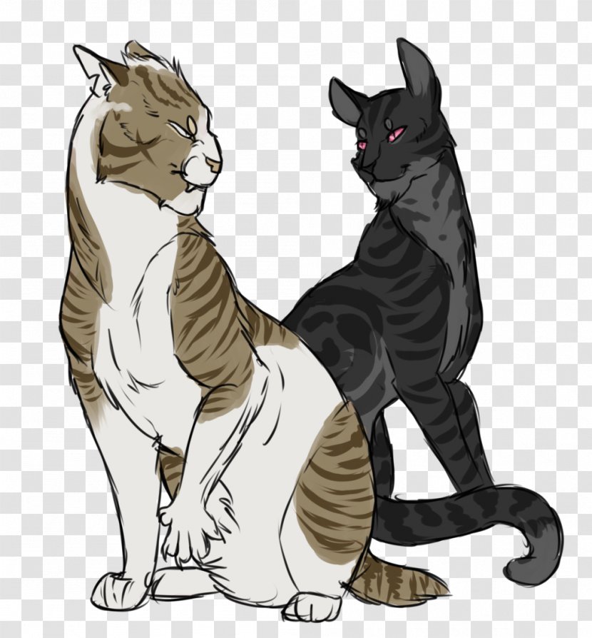 Whiskers Cat Canidae Dog - Small To Medium Sized Cats Transparent PNG