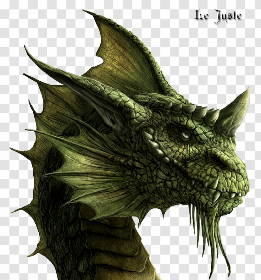 Eragon Brisingr Inheritance Cycle Arya Dröttningu Galbatorix - Book - Dragon Transparent PNG