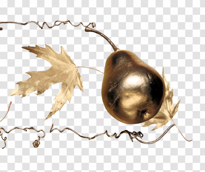Icon - Metal - Pears Transparent PNG