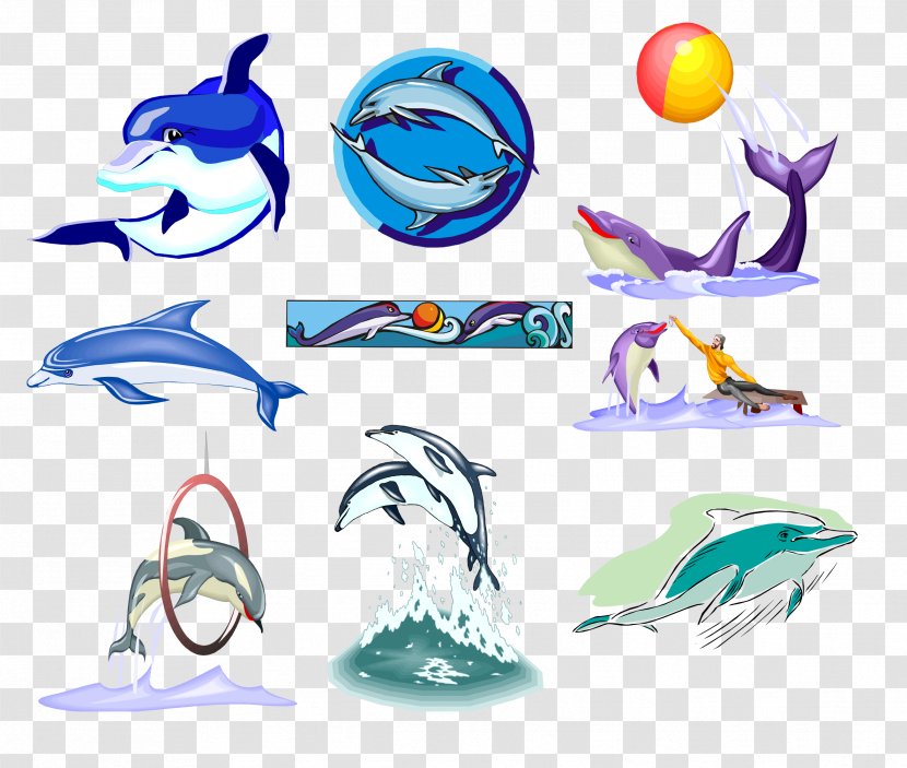 Dolphin Photography Clip Art - Headgear - Species Transparent PNG