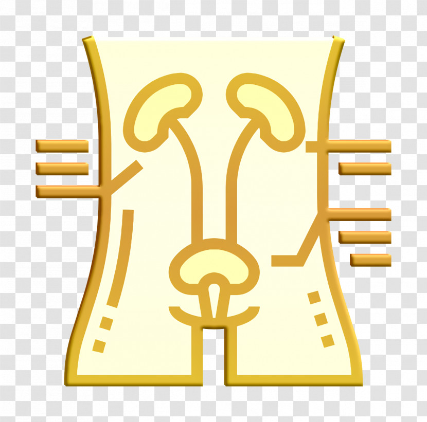 Blood Icon Health Checkups Icon Kidney Icon Transparent PNG