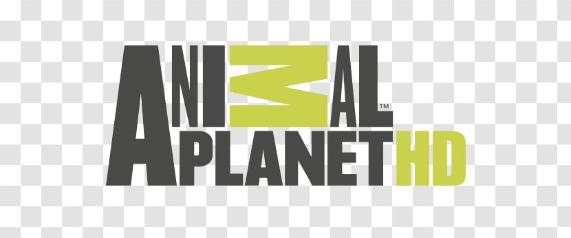 Animal Planet Television Channel Discovery High-definition - Rectangle - Llc Transparent PNG