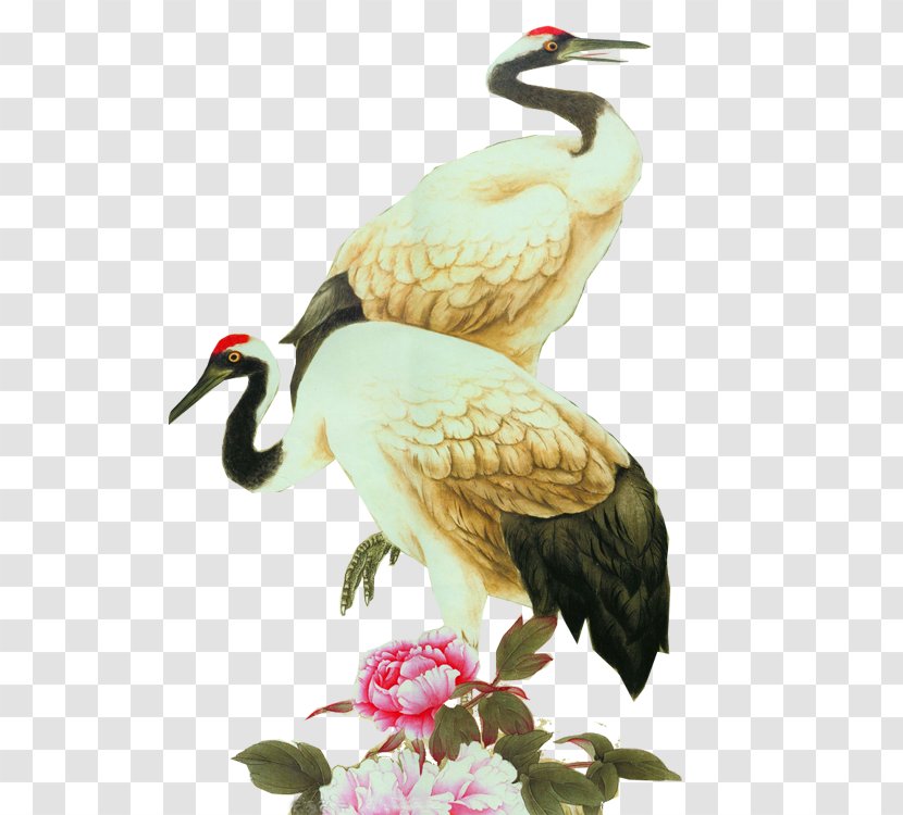 White Stork Red-crowned Crane Bird Grey Crowned - Black Transparent PNG